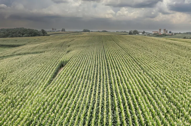 China Is Buying Up America's Farmland — And Washington Is Just Now Waking Up